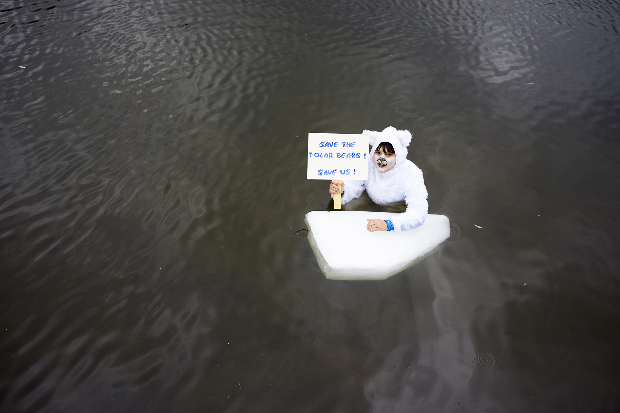 Eisbären in der Rheinaue #COP23