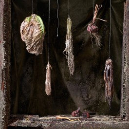 Vanitas Stillleben von in Plastik verschimmeltem, verdorbenen Gemüse zum Thema Verschwendung von Lebensmitteln von Anne Barth