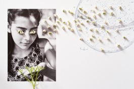 Anne Barth Photography – Reportage-Fotografin aus Berlin