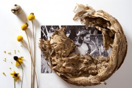 Anne Barth Photography – Reportage-Fotografin aus Berlin