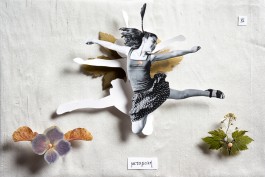Anne Barth Photography – Reportage-Fotografin aus Berlin