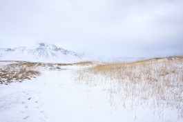 Anne Barth Photography – Reportage-Fotografin aus Berlin