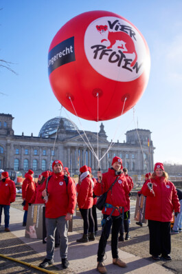 Ein großer Walking-Balloon von Vier Pfoten.