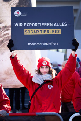 Eine Vier Pfoten / Four Paws Aktivistin hält ein Banner hoch: "Wir exportieren alles - sogar Tierleid #deinestimmtfürdietiere".