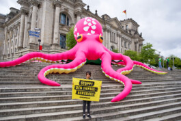 Auf dem Stufen vor dem Reichstag ist ein großer, pinker aufgeblasener Oktopus. Davor steht ein:e Greenpeace-Aktivist:in mit Banner: "Stoppt den Teifsee-Bergbau".