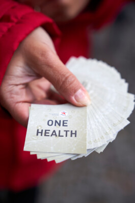Nahaufnahme einer Hand mit Aufklebern von Vier Pfoten / Four Paws: "One Health"