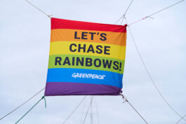 Zwischen der Takelage eines Segelschiffes hängt eine Greenpeace-Fahne in Regenbogenfarben mit der Aufschrift: "Let's Chase Rainbows".