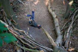 Corona - nah und fern. Kunst-Performance in Bonn im Wald. Anne Barth